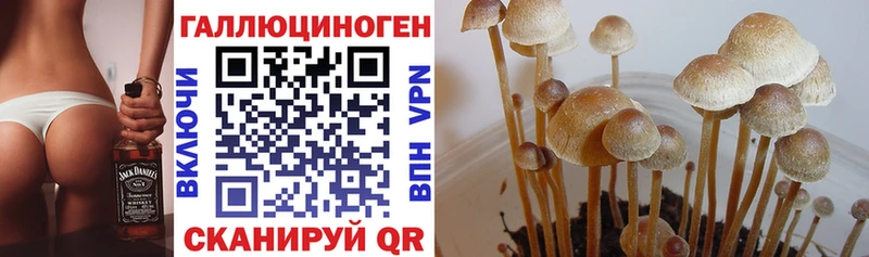 Галлюциногенные грибы прущие грибы  Южноуральск 
